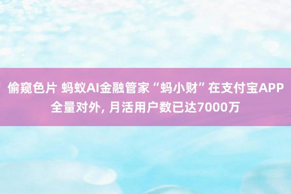 偷窥色片 蚂蚁AI金融管家“蚂小财”在支付宝APP全量对外， 月活用户数已达7000万