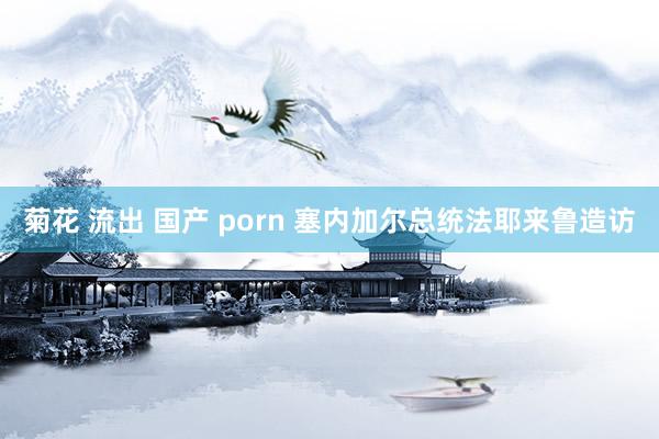 菊花 流出 国产 porn 塞内加尔总统法耶来鲁造访