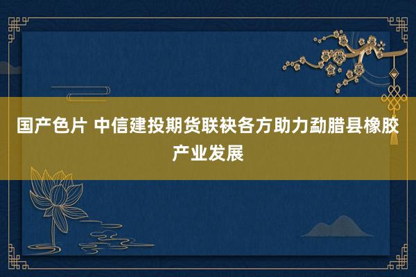 国产色片 中信建投期货联袂各方助力勐腊县橡胶产业发展