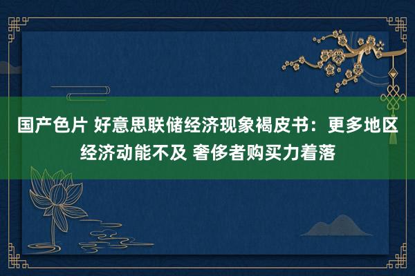 国产色片 好意思联储经济现象褐皮书：更多地区经济动能不及 奢侈者购买力着落