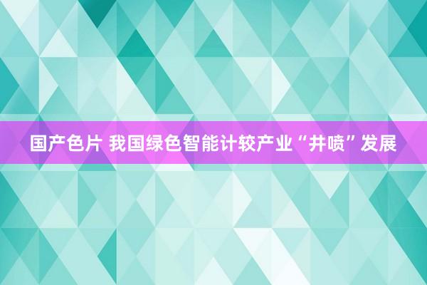 国产色片 我国绿色智能计较产业“井喷”发展