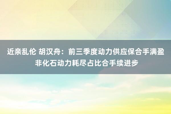 近亲乱伦 胡汉舟：前三季度动力供应保合手满盈 非化石动力耗尽占比合手续进步