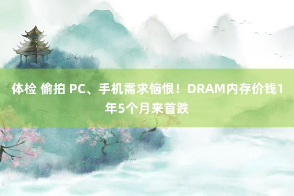 体检 偷拍 PC、手机需求恼恨！DRAM内存价钱1年5个月来首跌