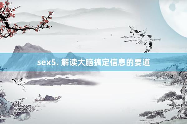 sex5. 解读大脑搞定信息的要道