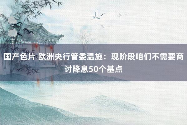 国产色片 欧洲央行管委温施：现阶段咱们不需要商讨降息50个基点