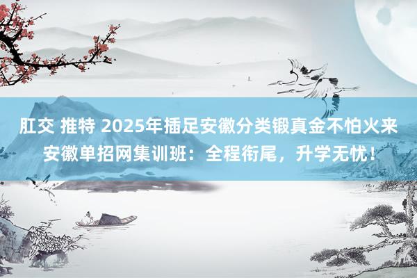 肛交 推特 2025年插足安徽分类锻真金不怕火来安徽单招网集训班：全程衔尾，升学无忧！