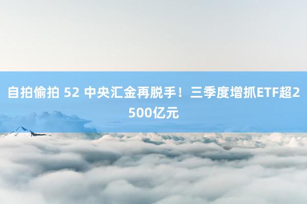 自拍偷拍 52 中央汇金再脱手！三季度增抓ETF超2500亿元