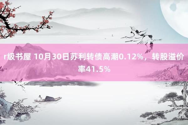 r级书屋 10月30日苏利转债高潮0.12%，转股溢价率41.5%