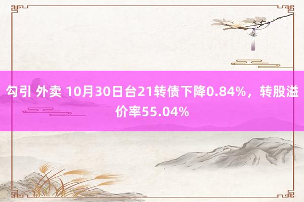 勾引 外卖 10月30日台21转债下降0.84%，转股溢价率55.04%