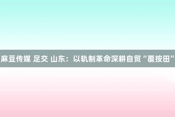 麻豆传媒 足交 山东：以轨制革命深耕自贸“覆按田”