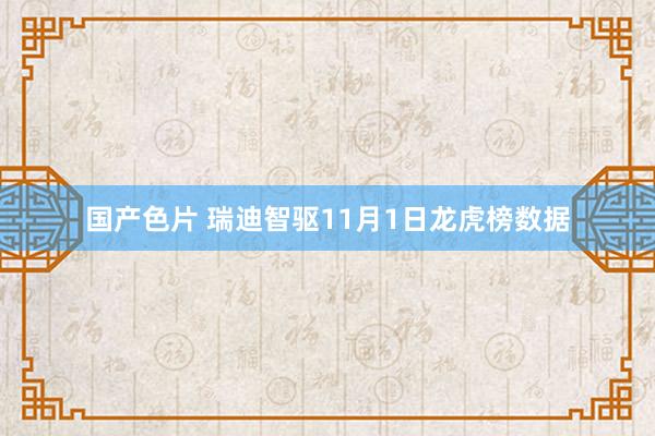 国产色片 瑞迪智驱11月1日龙虎榜数据