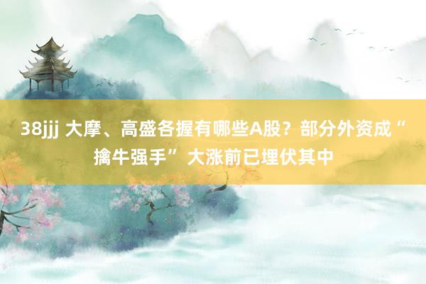 38jjj 大摩、高盛各握有哪些A股？部分外资成“擒牛强手” 大涨前已埋伏其中