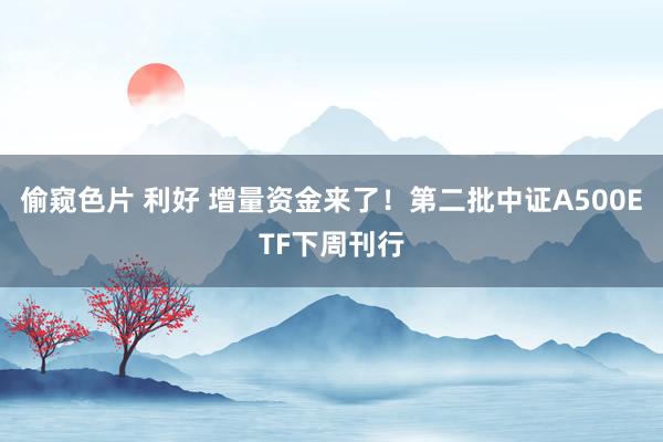 偷窥色片 利好 增量资金来了！第二批中证A500ETF下周刊行