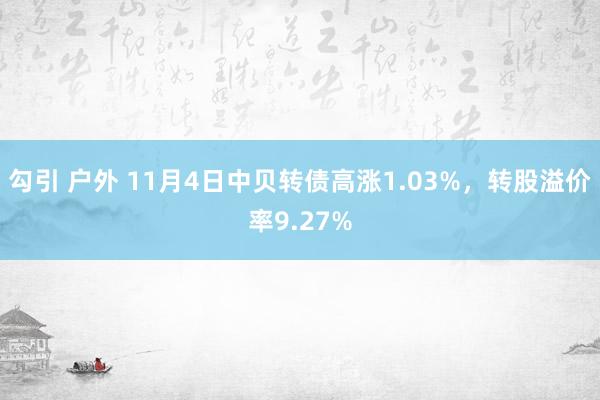 勾引 户外 11月4日中贝转债高涨1.03%，转股溢价率9.27%