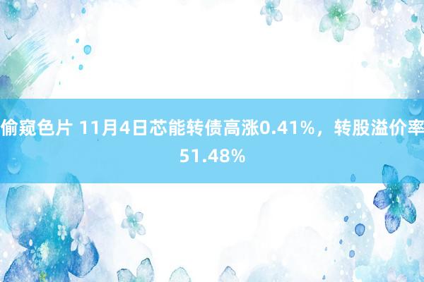 偷窥色片 11月4日芯能转债高涨0.41%，转股溢价率51.48%