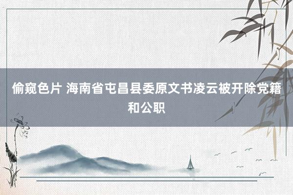 偷窥色片 海南省屯昌县委原文书凌云被开除党籍和公职