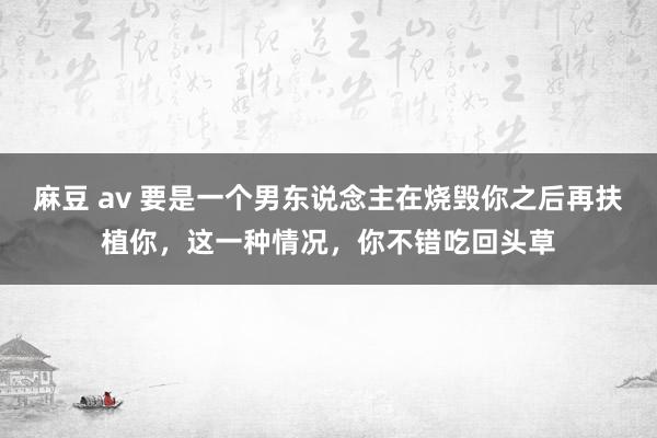 麻豆 av 要是一个男东说念主在烧毁你之后再扶植你，这一种情况，你不错吃回头草