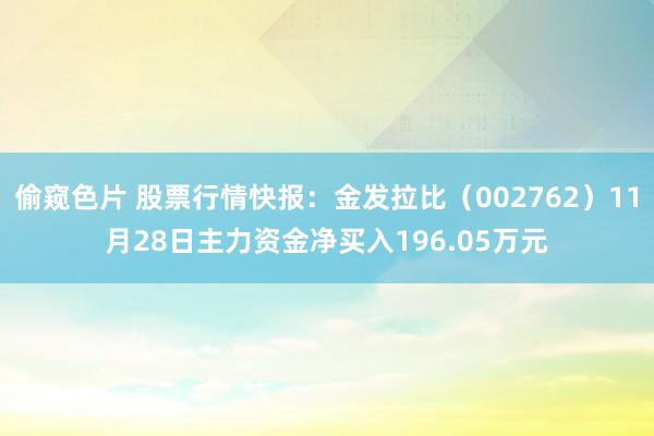 偷窥色片 股票行情快报：金发拉比（002762）11月28日主力资金净买入196.05万元