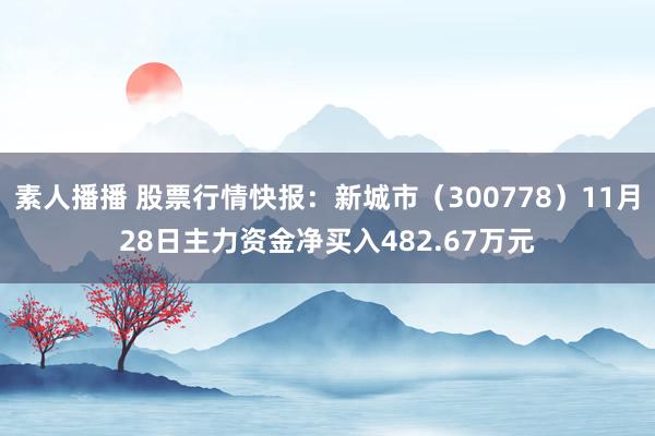 素人播播 股票行情快报：新城市（300778）11月28日主力资金净买入482.67万元