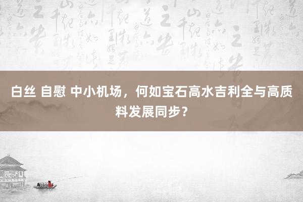 白丝 自慰 中小机场，何如宝石高水吉利全与高质料发展同步？