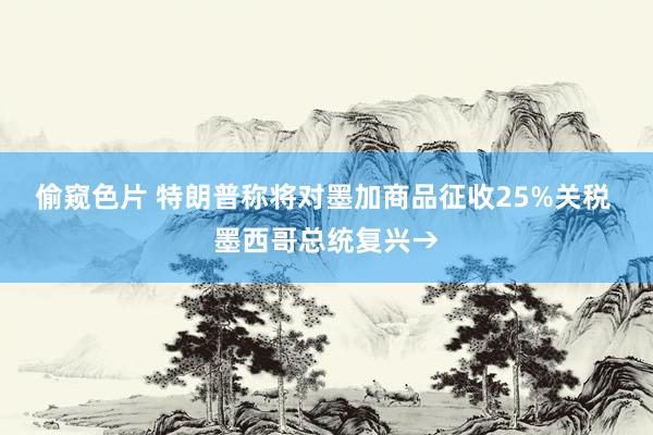 偷窥色片 特朗普称将对墨加商品征收25%关税 墨西哥总统复兴→