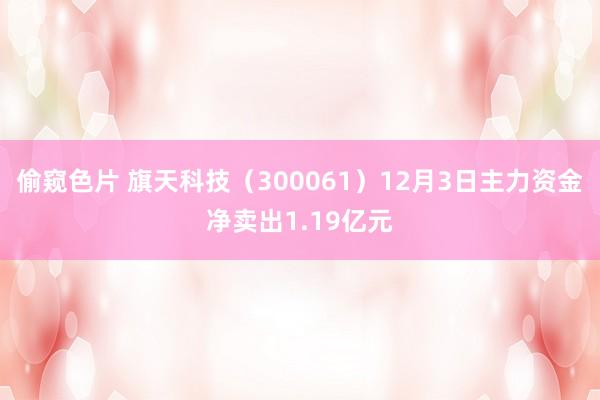 偷窥色片 旗天科技（300061）12月3日主力资金净卖出1.19亿元