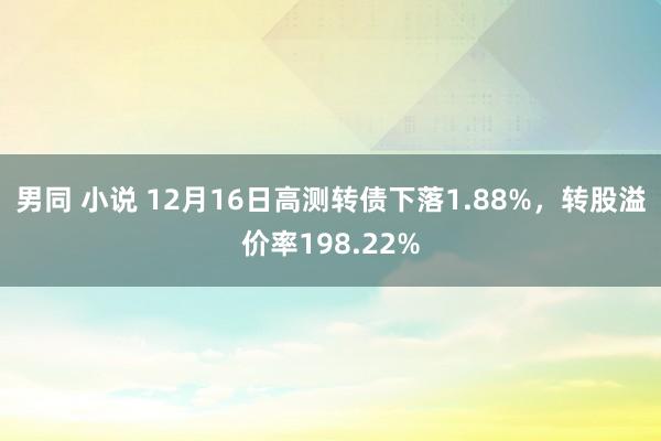 男同 小说 12月16日高测转债下落1.88%，转股溢价率198.22%