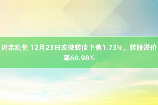 近亲乱伦 12月23日宏微转债下落1.73%，转股溢价率60.98%