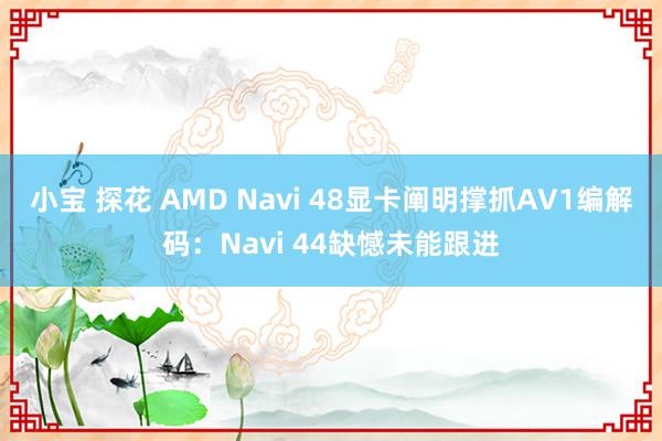 小宝 探花 AMD Navi 48显卡阐明撑抓AV1编解码：Navi 44缺憾未能跟进