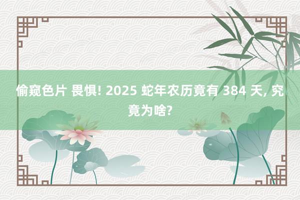 偷窥色片 畏惧! 2025 蛇年农历竟有 384 天， 究竟为啥?