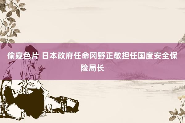 偷窥色片 日本政府任命冈野正敬担任国度安全保险局长