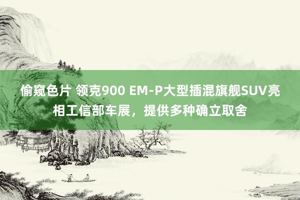 偷窥色片 领克900 EM-P大型插混旗舰SUV亮相工信部车展，提供多种确立取舍