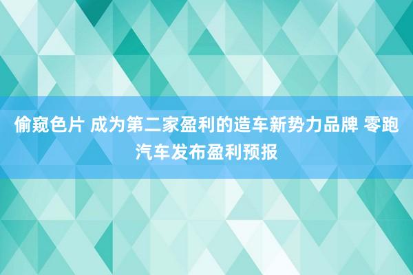 偷窥色片 成为第二家盈利的造车新势力品牌 零跑汽车发布盈利预报