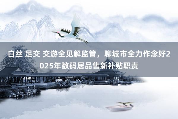 白丝 足交 交游全见解监管，聊城市全力作念好2025年数码居品售新补贴职责