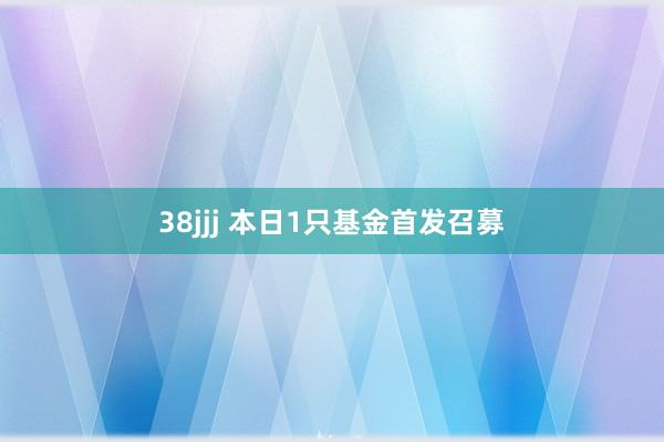 38jjj 本日1只基金首发召募