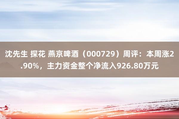 沈先生 探花 燕京啤酒（000729）周评：本周涨2.90%，主力资金整个净流入926.80万元