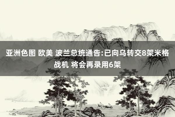 亚洲色图 欧美 波兰总统通告:已向乌转交8架米格战机 将会再录用6架