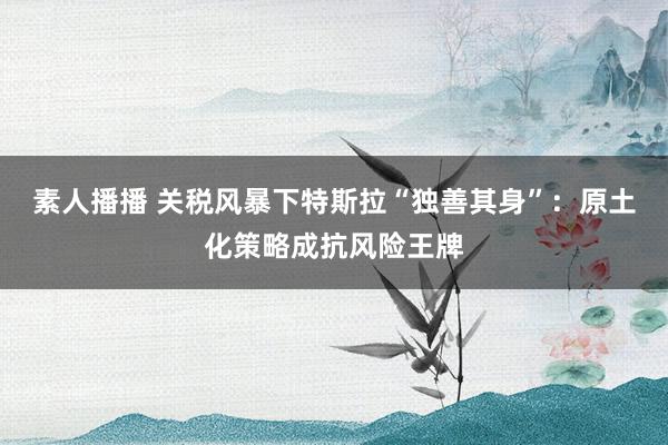 素人播播 关税风暴下特斯拉“独善其身”：原土化策略成抗风险王牌