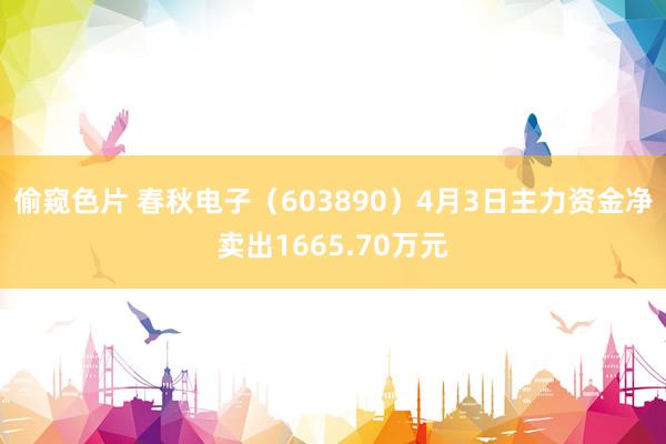 偷窥色片 春秋电子（603890）4月3日主力资金净卖出1665.70万元