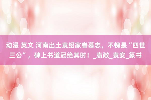 动漫 英文 河南出土袁绍家眷墓志，不愧是“四世三公”，碑上书道冠绝其时！_袁敞_袁安_篆书