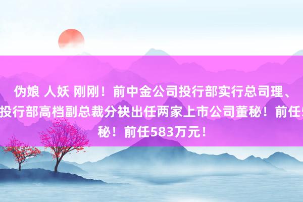 伪娘 人妖 刚刚！前中金公司投行部实行总司理、中信证券投行部高档副总裁分袂出任两家上市公司董秘！前任583万元！